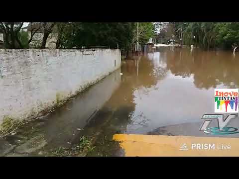 Enchente 2026 Rio Negro PR, V. Paraíso.