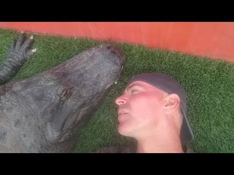 Man Lies On The Ground Next To Huge Reptile And The Outcome Is Shocking (VIDEO) item-thumbnail