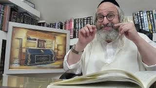 בית המדרש הווירטואלי עמוד מוהר"ן – ביידיש – 'עמוד היומי' ליקו"מ דף קיט' עמוד ב' תורות רעב' – רעו' (הרב מוטה פראנק) - התמונה מוצגת ישירות מתוך אתר האינטרנט יוטיוב. זכויות היוצרים בתמונה שייכות ליוצרה. קישור קרדיט למקור התוכן נמצא בתוך דף הסרטון