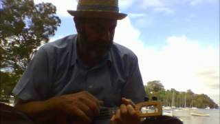 Summer's Here James Taylor Flea ukulele cover