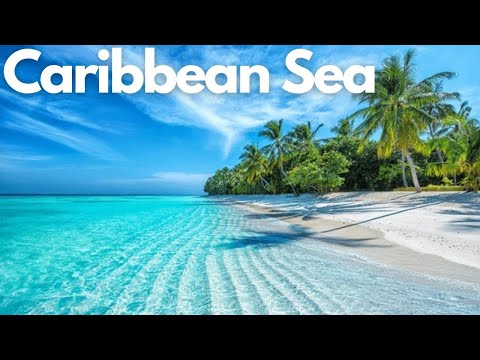 Exploring the Wonders of the Caribbean Sea