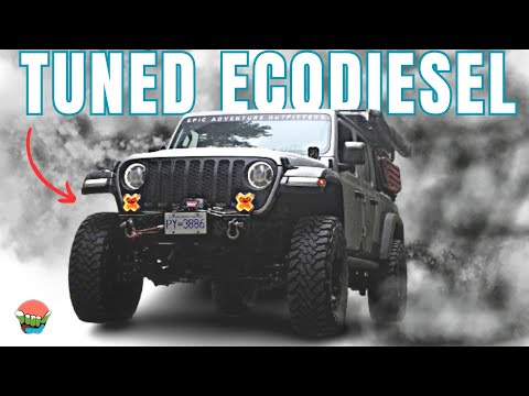 HOW BAD IS IT?! Ecodiesel Owners Canada TUNE one year REVIEW!