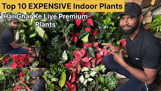 Kuchh special paudhe 10 Lekar Aaye aapke liye yah aapko Jarur Lagani chahie