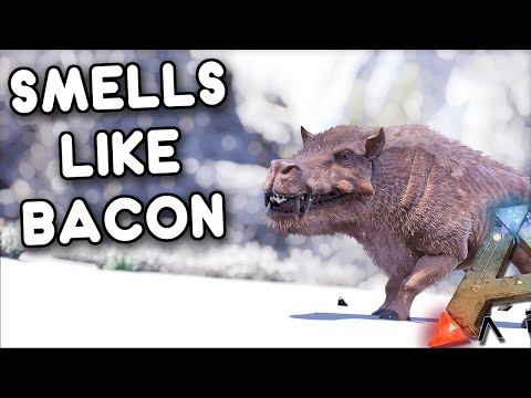 TAMING THE EVIL HELL PIG, DAEODON TAMING | ARK: GENESIS [EP27]