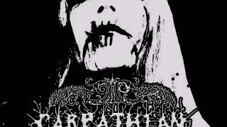 Carpathian Forest - In Silence I Observe