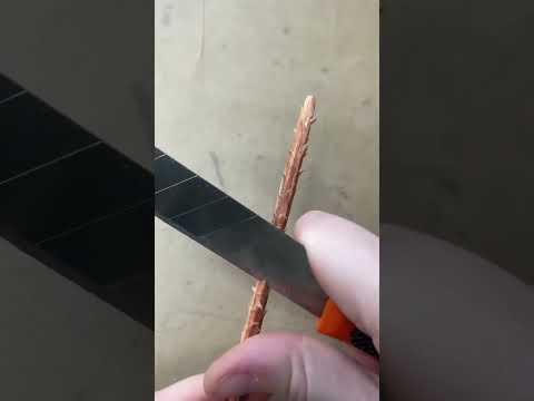 Trees Modelling #trees #architectureart #art #model #design #modelling #artist #thesis #trending