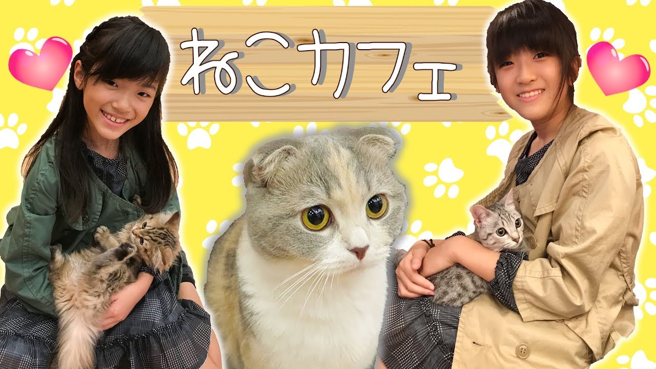 かんあきねこカフェに行く♡