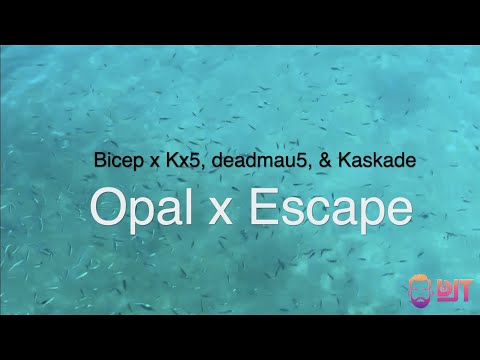 Bicep x Kx5, deadmau5, & Kaskade - Opal x Escape (DJT Mash Up)