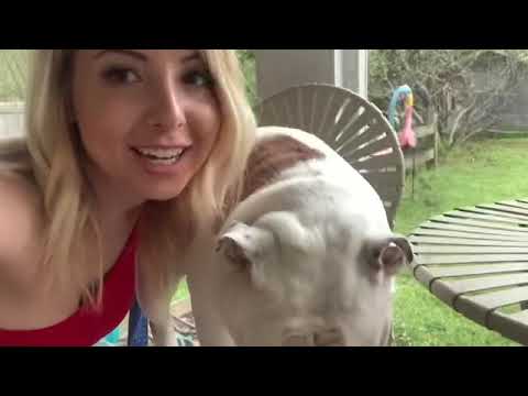 Instagram Hacks|Hashtag Tutorials|How to use Hashtags