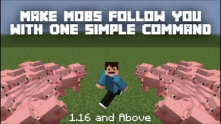 ✔️ How To Use /Teleport to Make Mobs and Players Follow You! (Updated) Java ✔️ How To Use Teleport