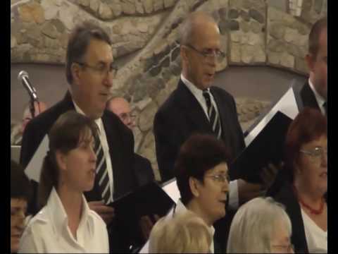 Zdravo, Majko Djevice - Zbor župe BDM Žalosne - Špansko - koncert 23. svibnja 2010.