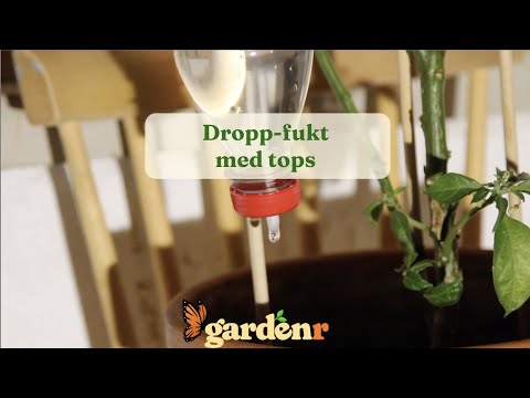 Droppande fukt med tops - Trädgårdshacks med GardenR