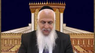 מסכת ביצה פרק ג (הרב יורם סרי) - התמונה מוצגת ישירות מתוך אתר האינטרנט יוטיוב. זכויות היוצרים בתמונה שייכות ליוצרה. קישור קרדיט למקור התוכן נמצא בתוך דף הסרטון