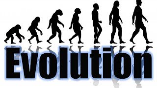 تعريف ومعنى التطور المتعارض مع الدين image