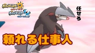 親方的な地面枠【ポケモンUSUM】