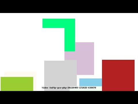 Video #sftp-gcs-pkg-20220405-172026-630870