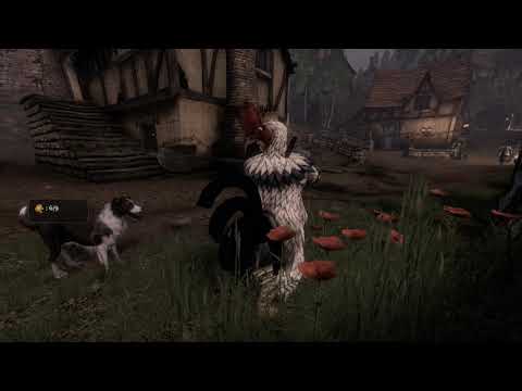 08 Fable 3 Chicken Chaser