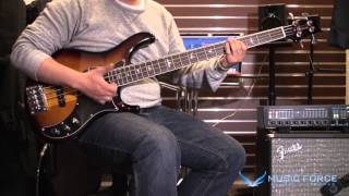 Video thumbnail for [Music Force] PRS SE Kestrel Bass - Slap Demo by Music Force Official