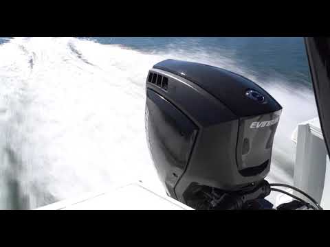 The new Evinrude 115 H.O