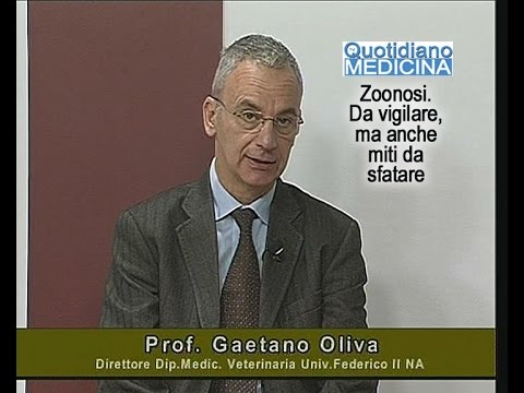 Il trattamento di nuoto osteocondrosi A proposito di osteocondrosi di Bubnovskaya