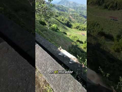 Un mirador 360° entre Risaralda, Caldas y Valle 😍🇨🇴