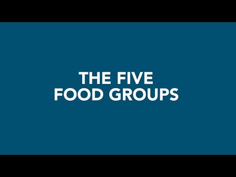 Exploring the Five Food Groups