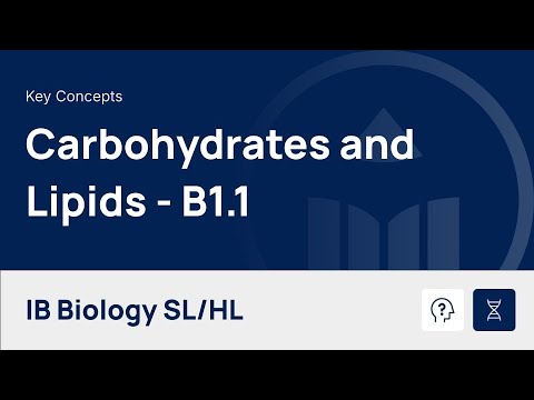 Carbohydrates and Lipids [IB Biology SL/HL]