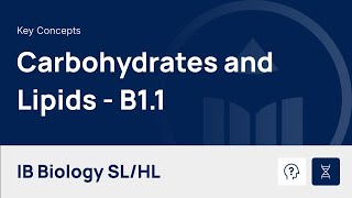 Carbohydrates and Lipids [IB Biology SL/HL]