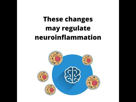 Effects of motherhood on the brain
