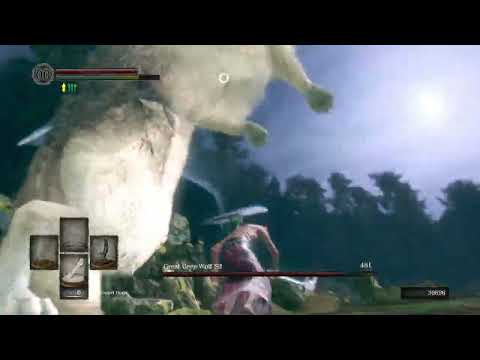 Dark Souls - Great Grey Wolf Sif - No Hit