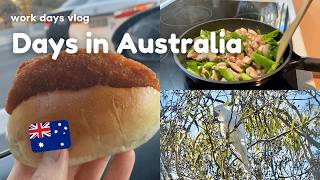 オーストラリア暮らしVlog｜5時起き、仕事のある平日おうちルーティン