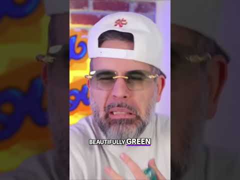 My New Favorite MFK | Aqua Media Cologne Forte #shorts #fragrances