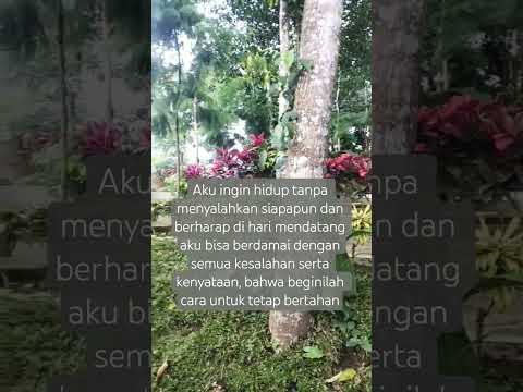 berdamai dengan kenyataan