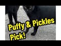 Puffy Pickles VHS Picks