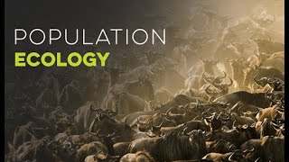 Lesson 1.3: Population Ecology