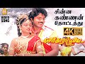 Chinna Kannan 4K Video Song சின்ன கண்ணன் தோட்டத்து Vijayakan
