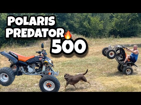 Polaris Predator 500