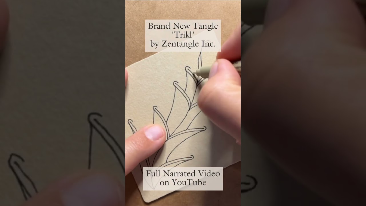How to Draw Trikl | New Zentangle HQ Tangle