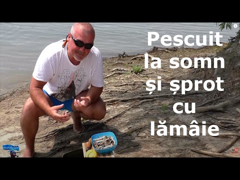 Wandering through the Delta. Fishing for catfish and sprat with lemon