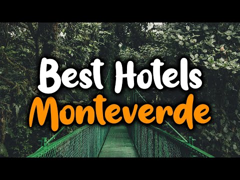 Best Hotels In Monteverde - For Families, Couples, Work Trips, Luxury & Budget