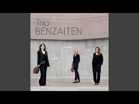 Trio n° 2 en mi bémol majeur Op. 100. Scherzando - Trio