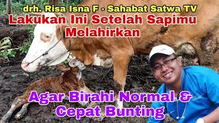Download lagu drh. Risa Isna F - LAKUKAN INI SETELAH SAPIMU MELAHIRKAN AGAR BIRAHI NORMAL DAN CEPAT BUNTING. mp3