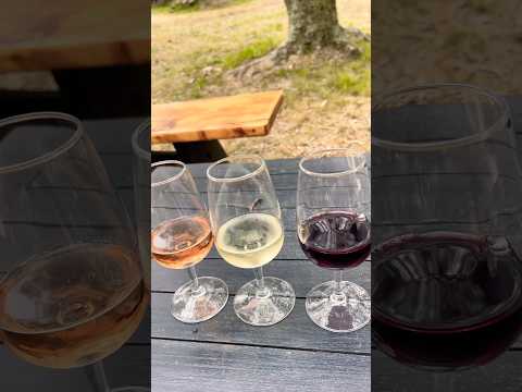 Waiheke Island views in New Zealand #waiheke #waihekeisland #newzealand #shorts