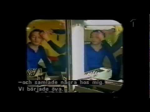 Jarvis Cocker - Swedish TV interview, 1996