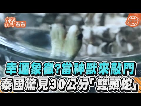 幸運象徵