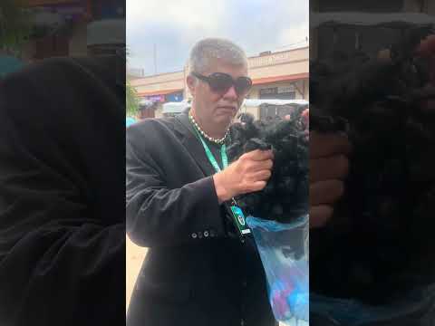 Barrigudo é muita resenha e show papai Itapipoca Ceará