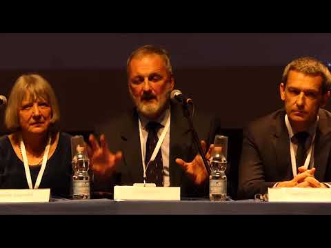 Giorgio Rossi, ESFRI / Università di Milano, Italy