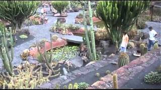 preview picture of video '2010 Cactus tuin'