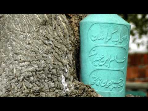 Sami Savni - Allahu Allah