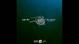 Cobra Man - Research Project